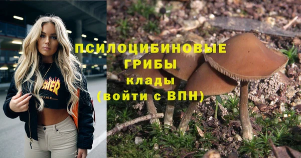 скорость Алексеевка